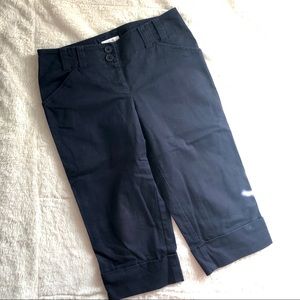Ann Taylor Loft Capri Pants